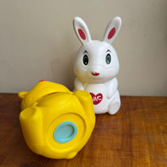 Bunny Rabbit Reusable Piggy Bank - Any 1