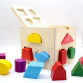 Fifteen Holes Shapes Intelligence Box - shapes box