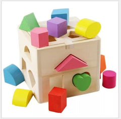 Fifteen Holes Shapes Intelligence Box - shapes box