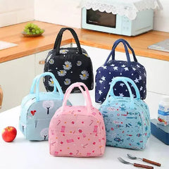 Insulated Lunch bag with partition -  Any 1 Random