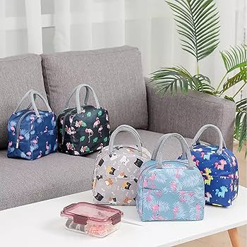 Insulated Lunch bag with partition - Any 1 Random