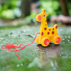 Wooden Baby Giraffe Pull along