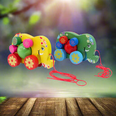 Wooden Elephant Ball Pull Along- Any 1