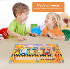 Wooden Magnetic Animal Labyrinth color sort game