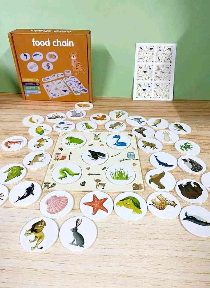 Food Chain Growth Cycle Puzzle