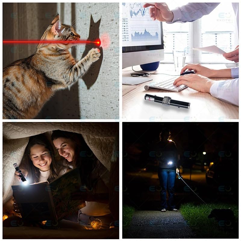 Collage of four images: a cat playing with a laser pointer, a person working at a desk, two people reading under a blanket with flashlights, and a person using a flashlight outdoors.