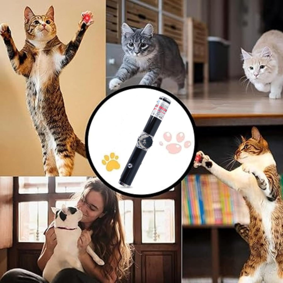 Collage of cats playing with a laser pointer, with a close-up of the laser pointer in the center.