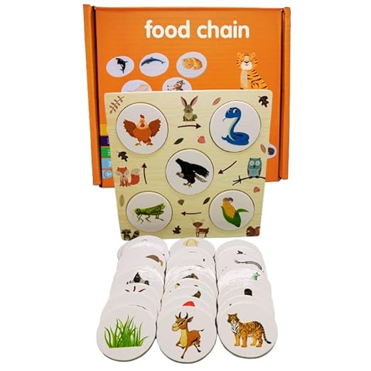 Food Chain Growth Cycle Puzzle