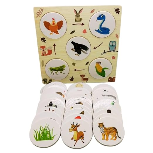 Food Chain Growth Cycle Puzzle