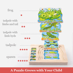 Layered Life cycle Puzzle Book STORY PUZZLE