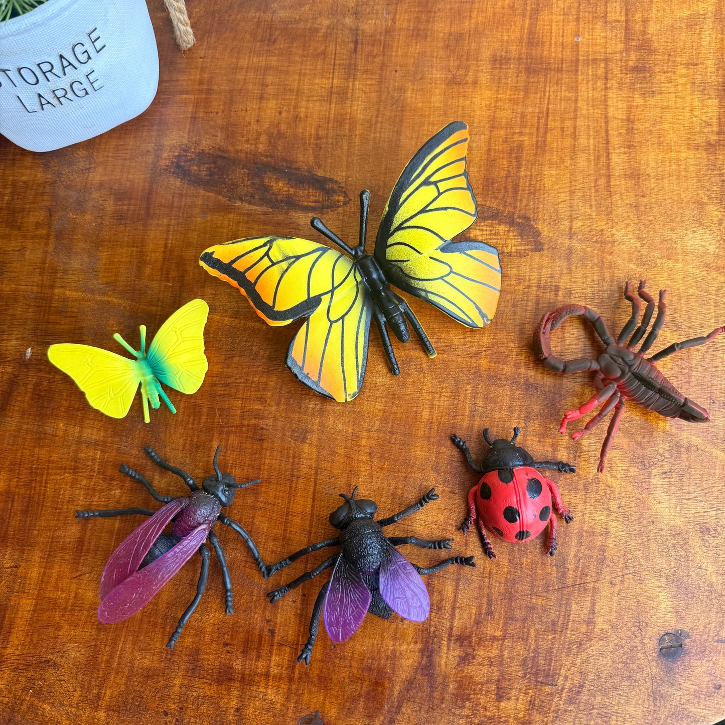 Reptile Bug Animal Insect Toys, Hand-Painted Plastic Figures, Multicolour -Any 6 Pcs