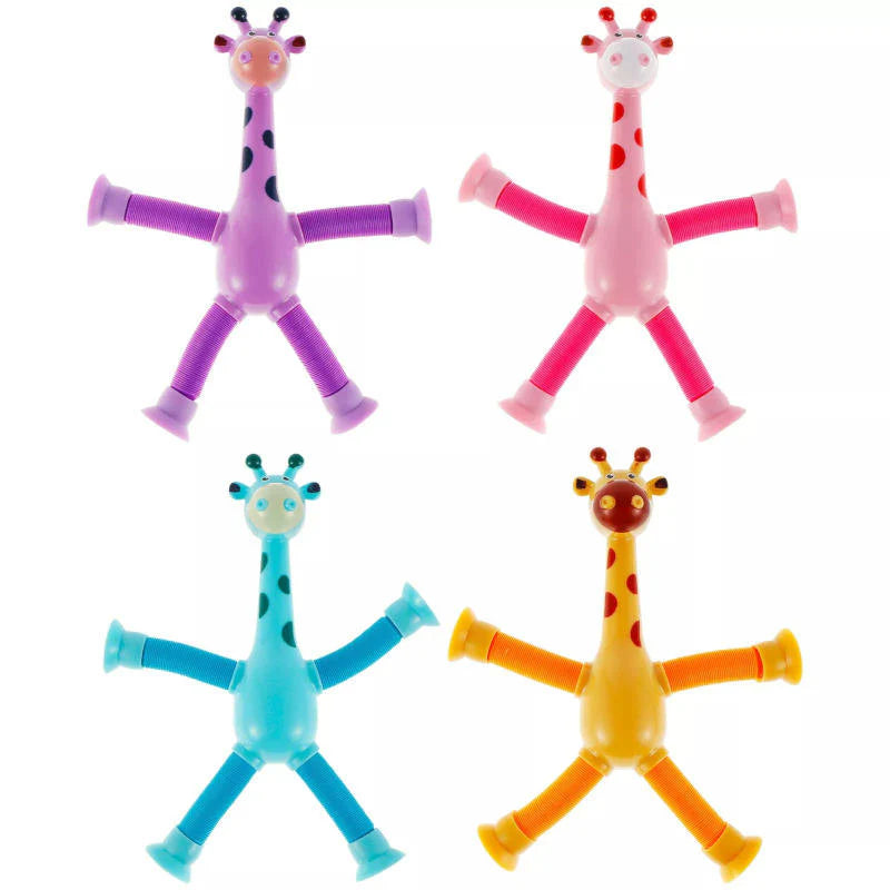 Candy Flower & Tube Giraffe Combo - 2 pcs Random Colors