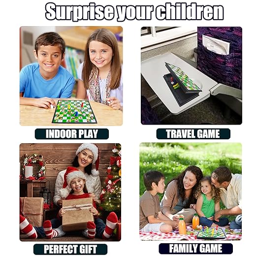 Magnetic Snakes and Ladders Board Game Set- small