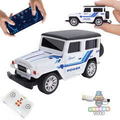 Mini RC Car - Any 1