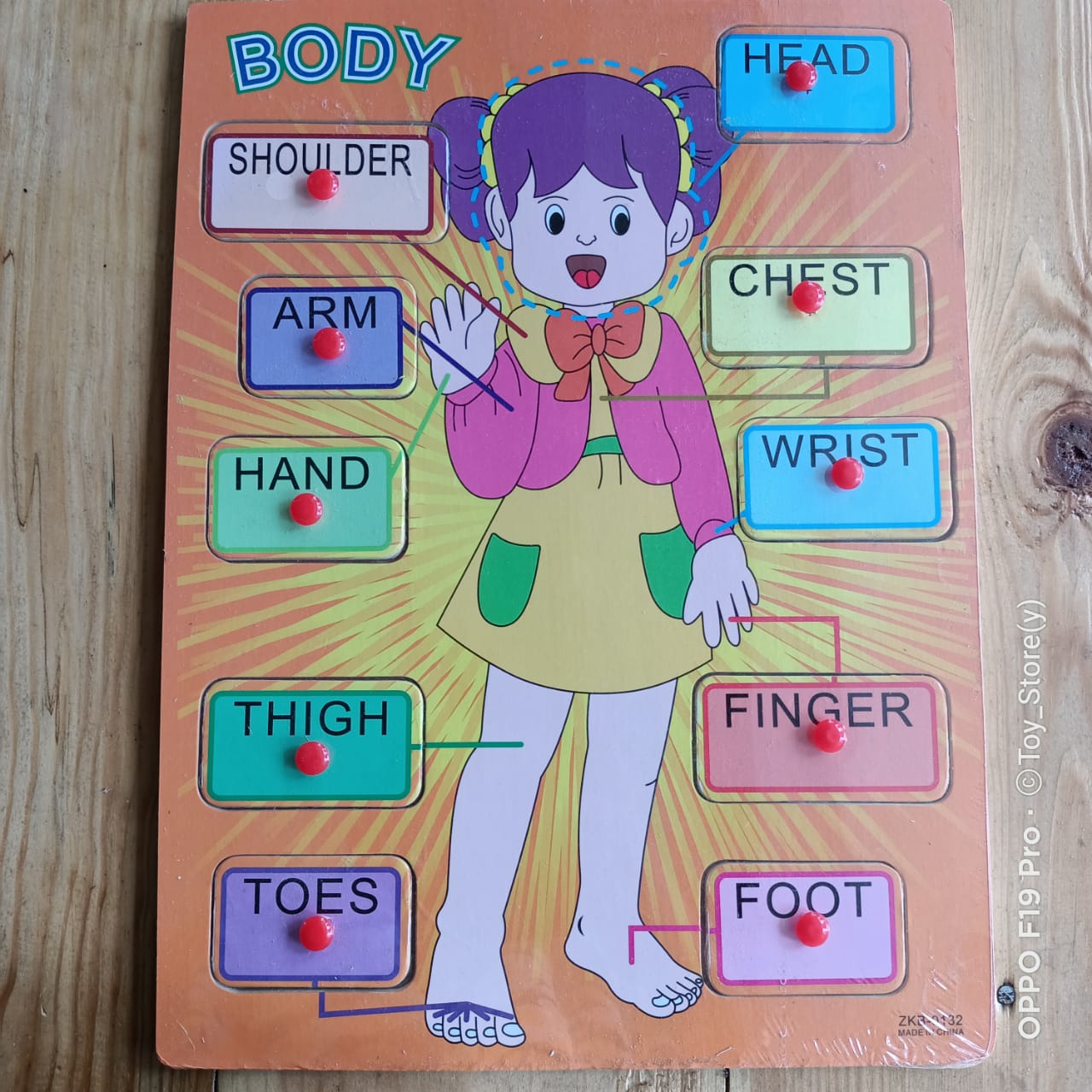Parts of Body Pin board