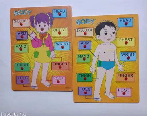 Parts of Body Pin board