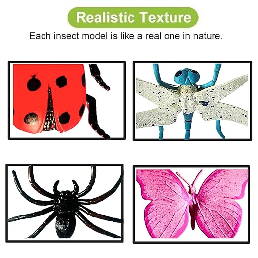 Realistic Insect Toys for Kids 6Pcs Mid Size Reptile Bug Animal Figure Toy
