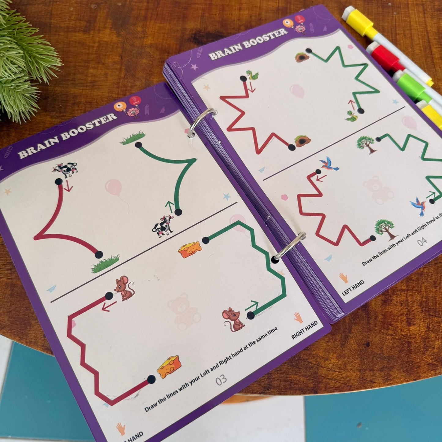 Reusable Brain Booster Activity-112 Activities 60 Pages - FREE Sketch Pens