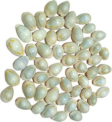 Sea Shell - Choli for Pallanguli - 75 nos