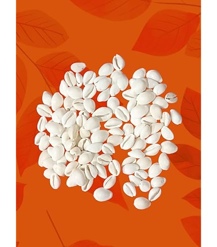 Palanguli Shell Sea Shell - Choli for Pallanguli - 75 nos – Toystorey