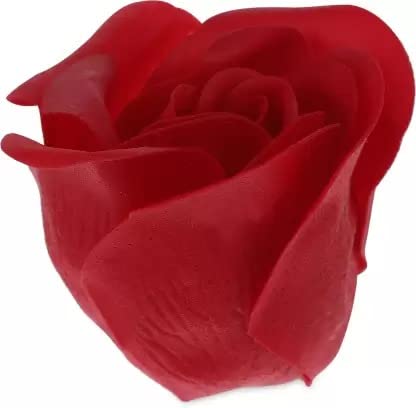 Valentine Heart Shape Box with Teddy and Red Rose Flowers Combo