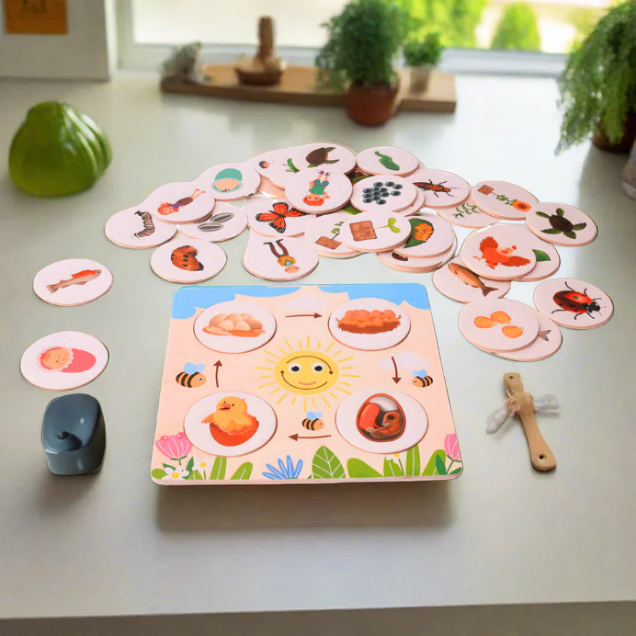 Food Chain Growth Cycle Puzzle