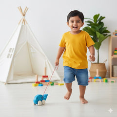 TOYSTOREY  Wooden Fish Cart Pull Along for 1-3year